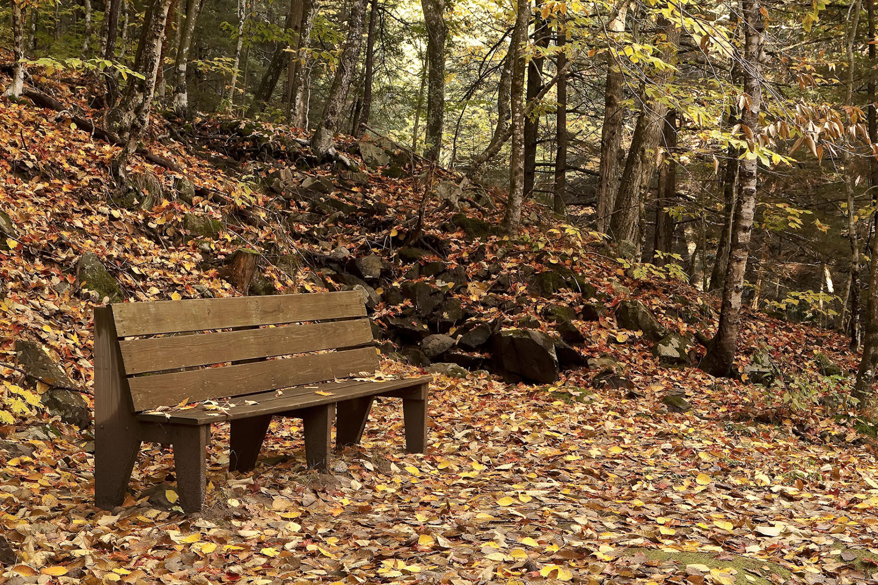 New Hampshire Bench-#2563