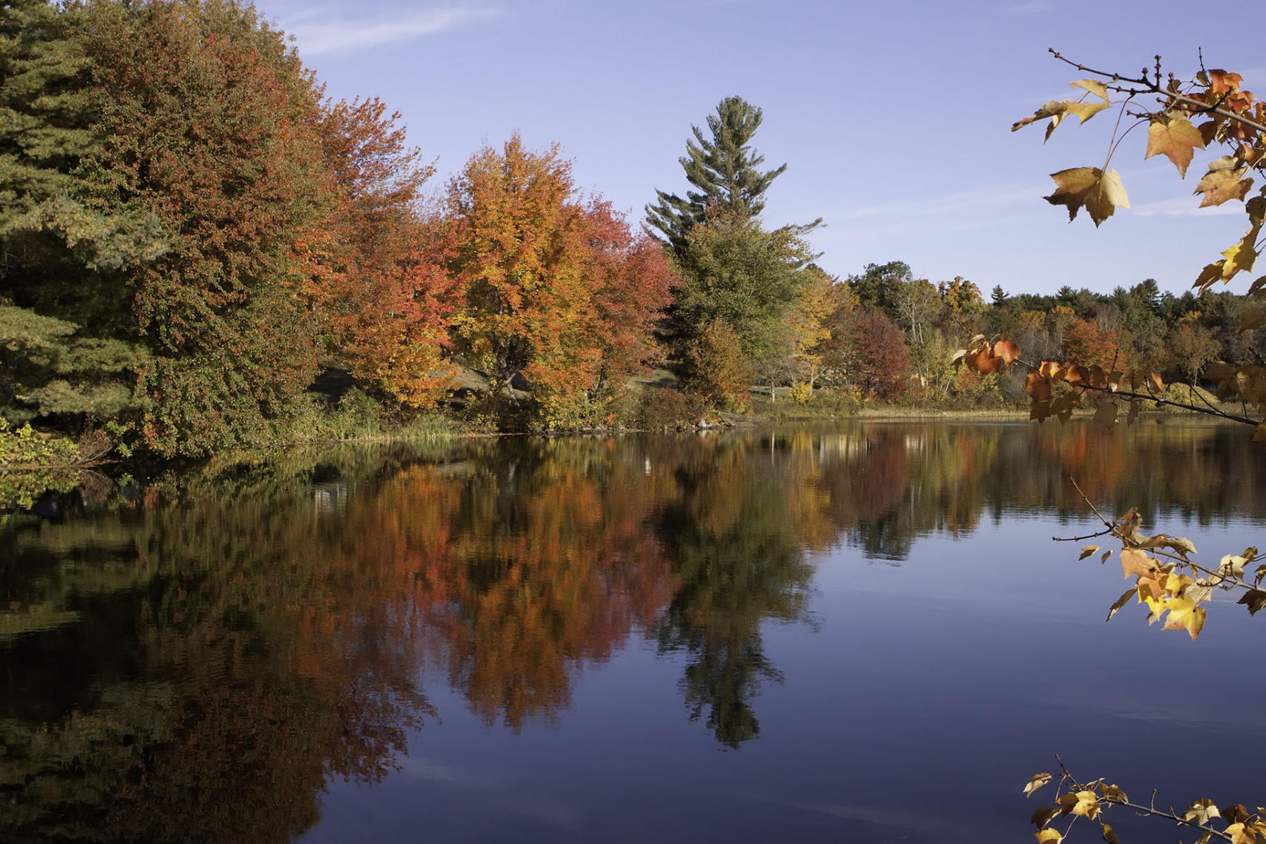 New Hampshire reflection #2366