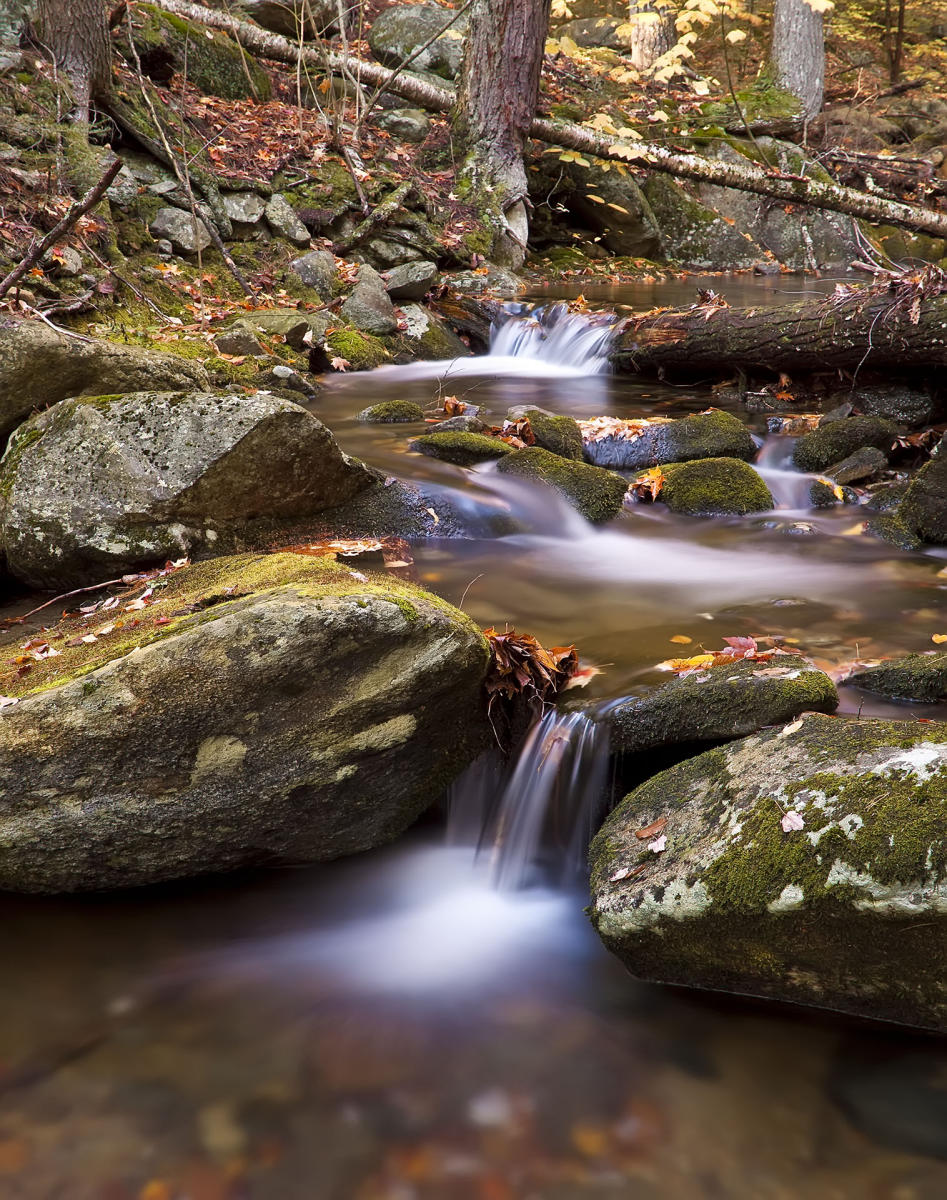 Shannon Brook #2580
