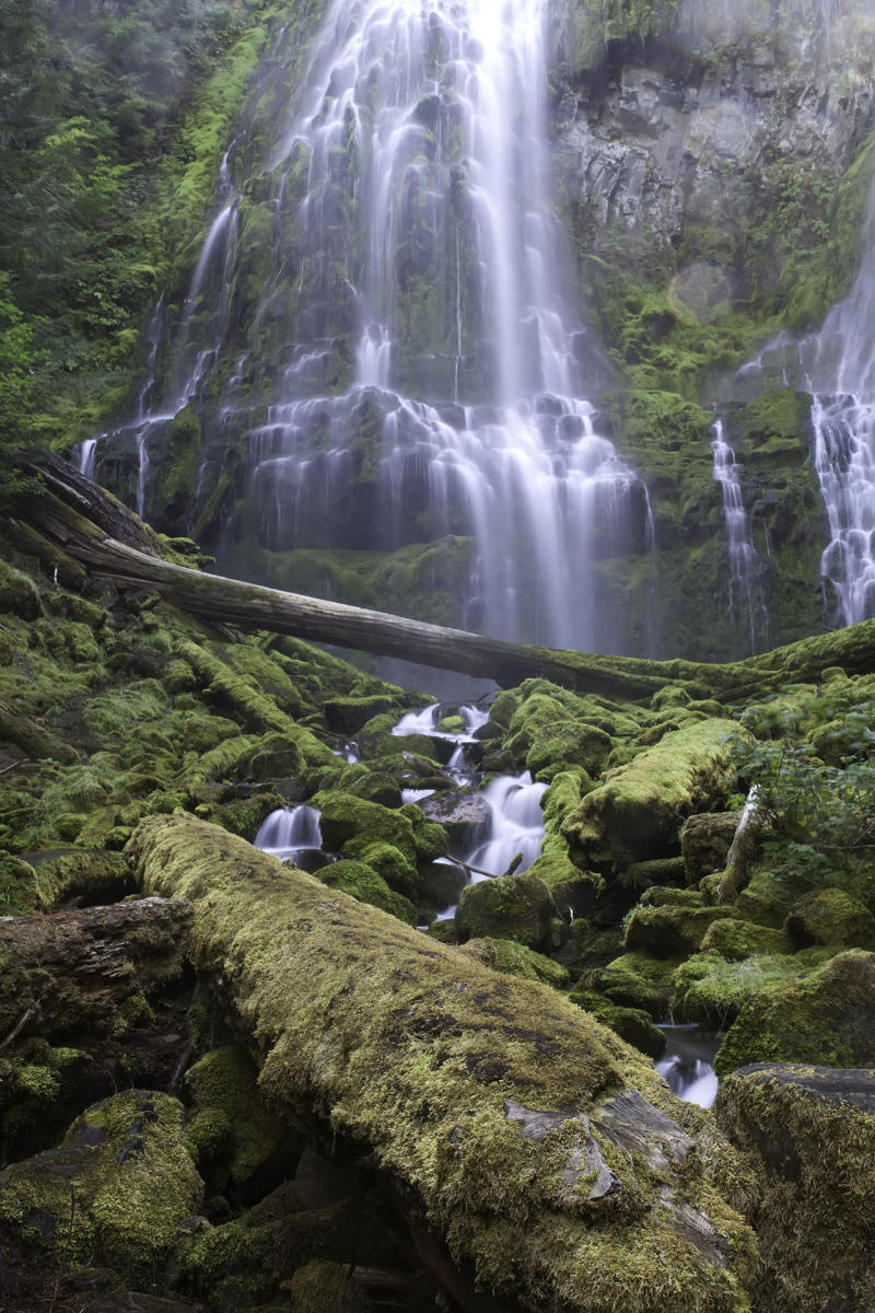 Lower Proxy Falls  #1491