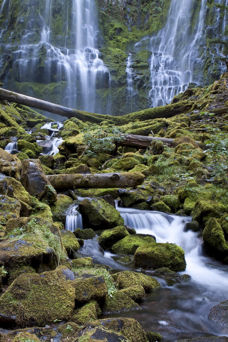 Proxy Falls #1507