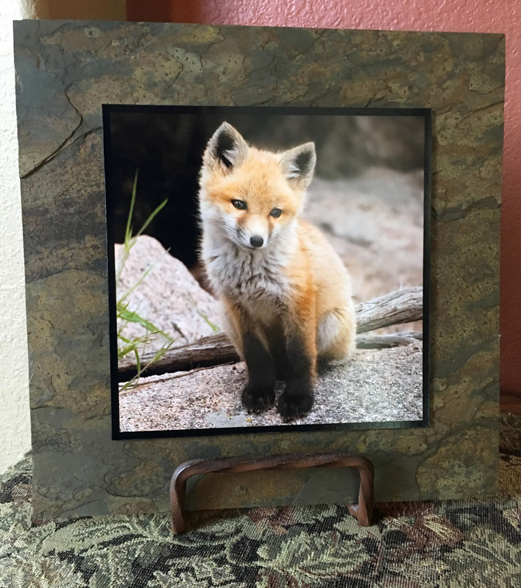 Example of Lil Guy mounted on a 12"x12" slate tile.