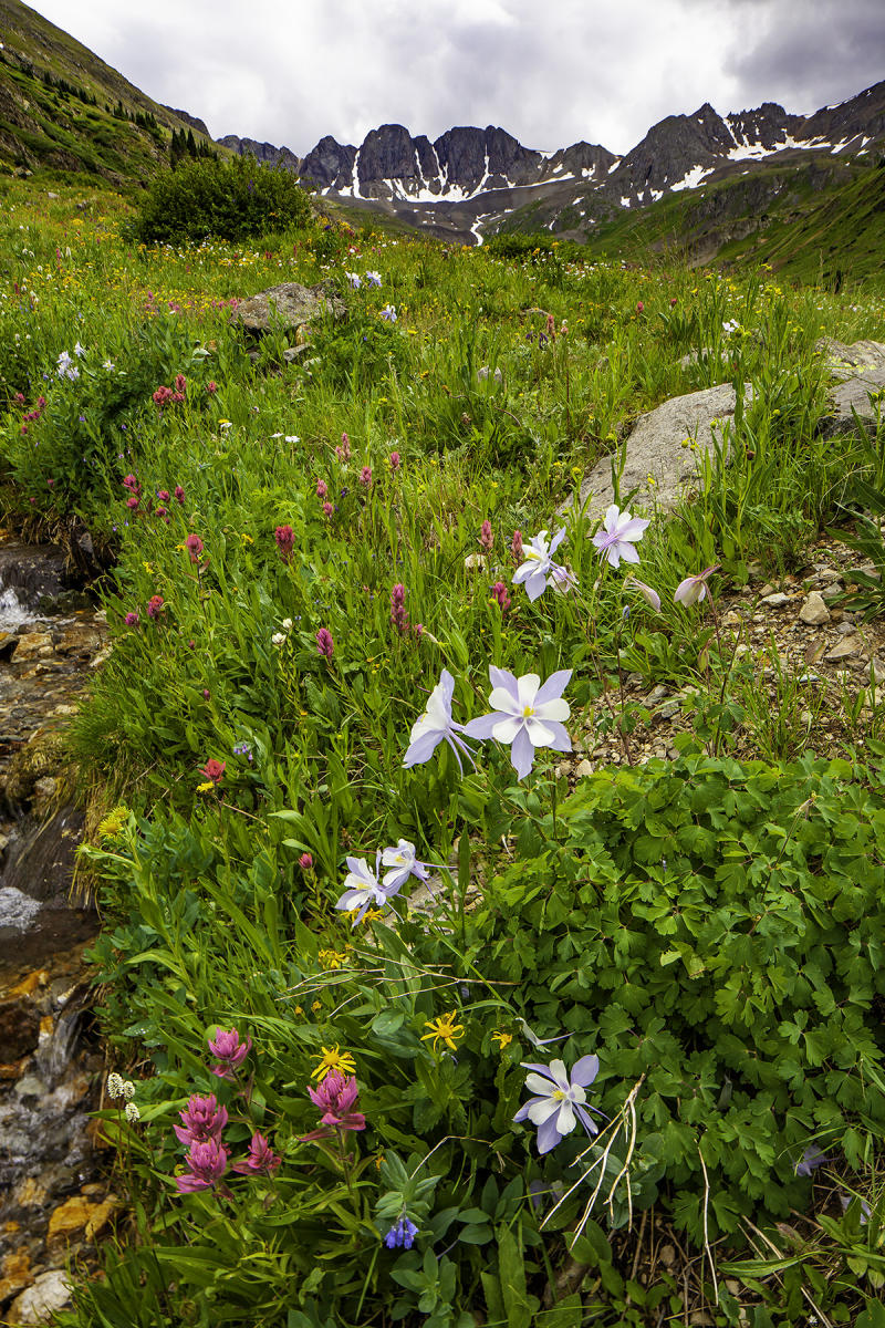 American Basin near Lake City, CO.  #0235